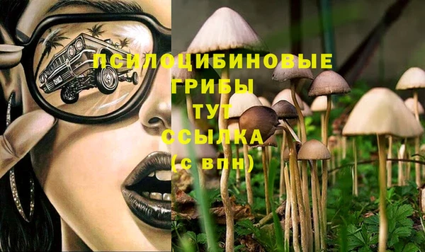 бошки Балахна