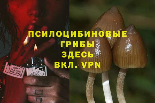 2c-b Баксан