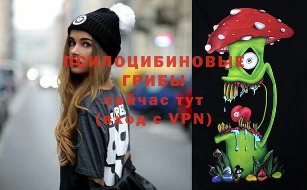 бошки Балахна